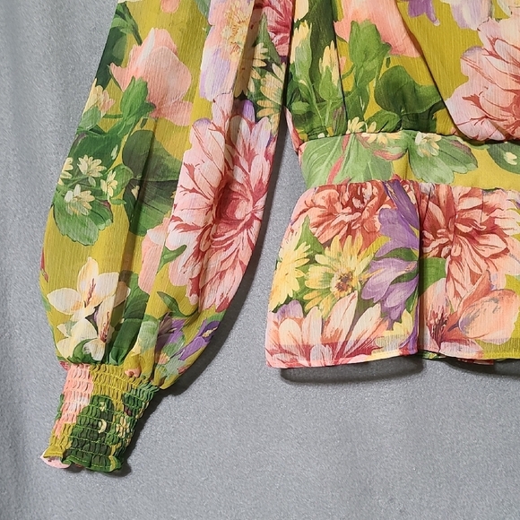 EXPRESS Floral V-Neck Long Sleeve Smocked Cuff Peplum Lined Blouse - Size Medium - Picture 3 of 12